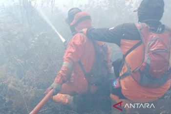 BPBD sekat jalur api cegah meluasnya kebakaran lahan di Aceh Barat