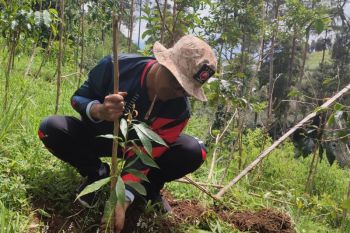 Warga Campurejo tanam 500 pohon di jalur pendakian baru Gunung Prau