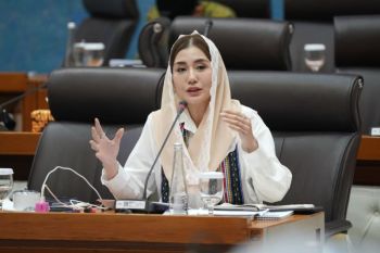 Industri film Indonesia butuh perlindungan negara