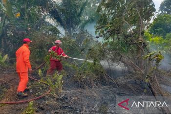 BPBD Belitung berhasil padamkan kebakaran lahan gambut