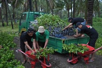 Bank NTB Syariah hadiahkan nursery farm untuk Milad ke-67 Sumbawa