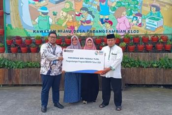 BRI Peduli dukung ketahanan pangan mandiri untuk Kelompok Joglo Hidroponik Berkah