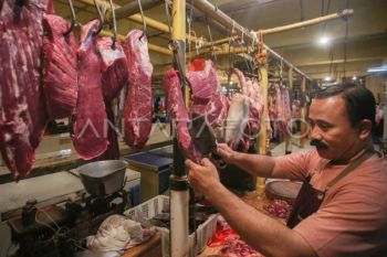 Mentan tegaskan kuota impor daging sapi swasta dipangkas demi stabilitas harga
