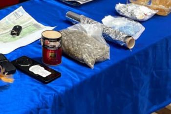 Satresnarkoba Polres Merauke tangkap pengedar bawa 427 linting ganja