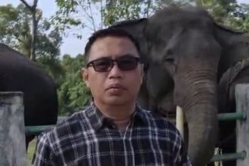 BKSDA Jambi rencanakan PIKG jadi destinasi wisata edukasi alternatif