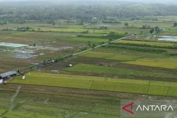 Maluku distribusikan 196 unit irigasi perpompaan untuk pengairan lahan