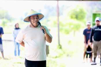 Gubernur Sulut pastikan ketersediaan beras di daerah tercukupi