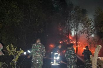Lanud Hang Nadim Batam cegah gangguan penerbangan akibat kebakaran lahan