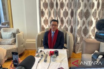 Board of peace reflects Indonesia's commitment to Palestine : Minister