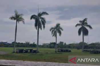 Kabupaten Penajam tingkatkan estetika RTH untuk beri manfaat warga