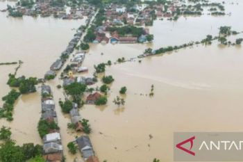 Ribuan hektare sawah di sejumlah kawasan Karawang terendam banjir