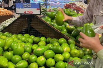 Rutin Konsumsi Alpukat, Kunci Jantung Lebih Sehat