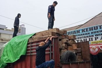 Kemenhut: Pengangkut puluhan kayu ilegal siap disidang di  Sulteng