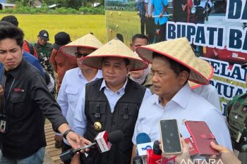 Wamentrans mendorong Desa Telang Rejo jadi lumbung pangan nasional