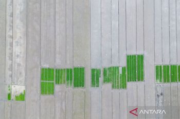 Menempatkan kembali pembangunan pertanian untuk kesejahteraan petani