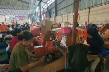 Peneliti nilai penambahan layer cukai miliki dasar teoritis yang sah