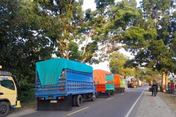 Macet panjang di Luwu Utara akibat jalan ditutup pendemo