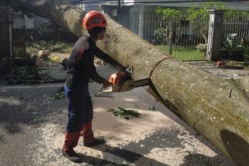 Ini penyebab angin kencang di Malang menurut BMKG