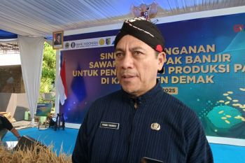 Pemprov Jateng dukung pembebasan PBB bagi petani pertahankan sawah