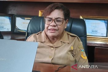 Dinas Pertanian catat luas lahan tanaman bawang merah di Papua 102,14 hektare