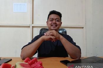 Kebutuhan sayuran untuk MBG capai satu ton per hari di Jayawijaya