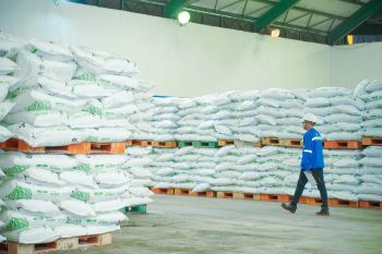 Pusri pastikan stok pupuk tersedia di awal tahun sesuai arahan pemerintah