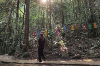 Dishut Lampung sebut pemanfaatan jasa lingkungan hutan jadi potensi PAD