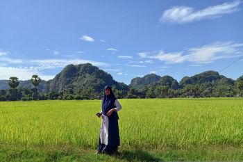 Film Esok Tanpa Ibu tampilkan pergeseran peran keluarga