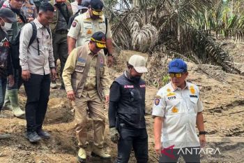 Bupati Aceh Timur apresiasi Mendagri kunjungi warga terdampak bencana