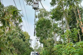 Angin kencang landa DIY, PLN pulihkan 21 penyulang utama 100 persen