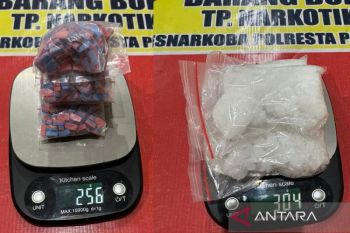 Dua perempuan di Palangka Raya ditangkap edar ratusan gram sabu dan ekstasi