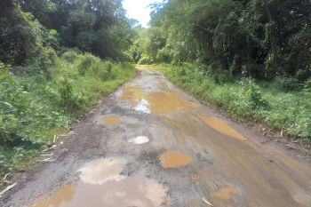 Pemkab Lebak anggarkan perbaikan jalan Rp75,5 miliar