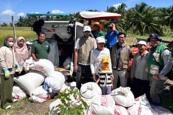 Bulog Singkawang serap 660 ton gabah petani di awal 2026
