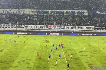 Berguinho bawa Persib kembali puncaki klasemen