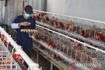 Program ketahanan pangan isi sebagian kebutuhan dapur Lembaga Pemasyarakatan Semarang