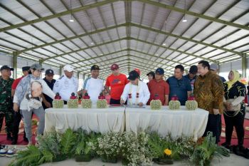 Pasar Ikan Rejomulyo Semarang akhirnya diresmikan setelah 3 tahun dibangun