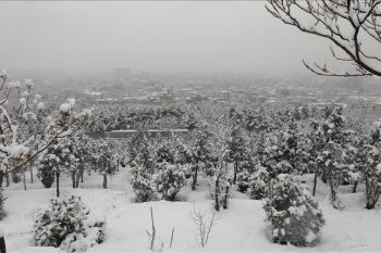 Hujan dan salju lebat tewaskan 61 orang di Afghanistan