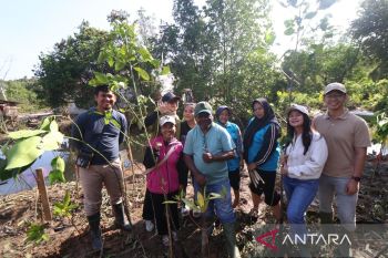 Edi Mangun, 25 tahun tanam mangrove untuk sedekah dan syukur