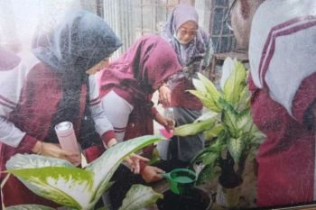 Dinas Kesehatan Pasbar telah lakukan PE, PSN sampai goro bersama upaya pemberantasan penyakit DBD