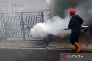 Dinkes Kota Malang sebut PSN efektif kendalikan angka kasus DBD