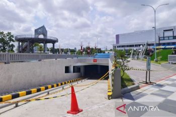 Pentingnya antioksidan untuk kulit wajah