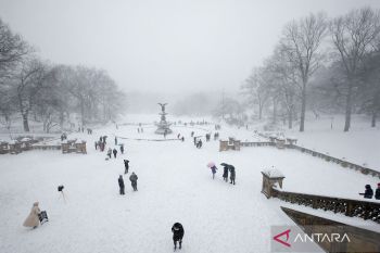Badai salju terjang Amerika, 51 orang tewas