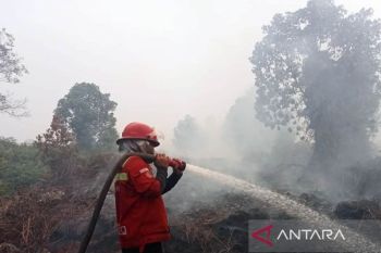 Luas kebakaran lahan di Aceh Barat capai 19 Ha