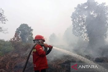 Luas kebakaran lahan di Aceh Barat mencapai 19 Hektare