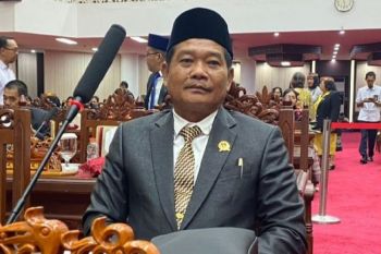 DPRD minta Pemprov Kalteng perketat perizinan demi lindungi lingkungan