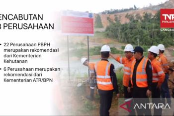 28 perusahaan di Sumatra dicabut izin usahanya