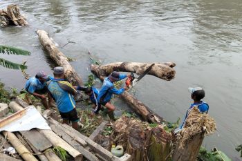 Antisipasi banjir susulan, Kayu tumbang di Sungai Jangkuk Mataram diangkat