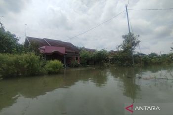 Jumlah desa terdampak banjir di Pati mulai berkurang kini tersisa 58 desa