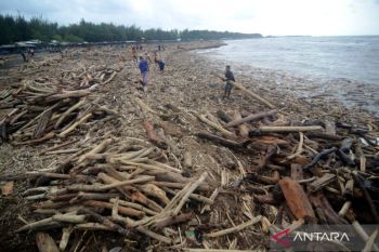 Istana tanggapi dugaan penebangan hutan pemicu banjir di Guci Tegal