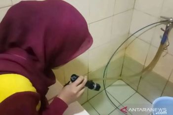 Waspadai, puncak kasus DBD di Jakarta diprediksi terjadi pada Maret